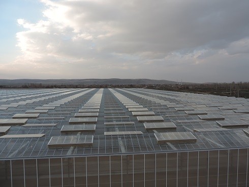 Semay Agriculture Afyon Greenhouses